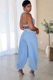 Arielle backless light wash denim jumpsuit back view